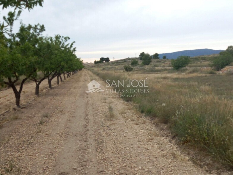 Land in Monóvar for sale - Building Photo - Image 2 of 15