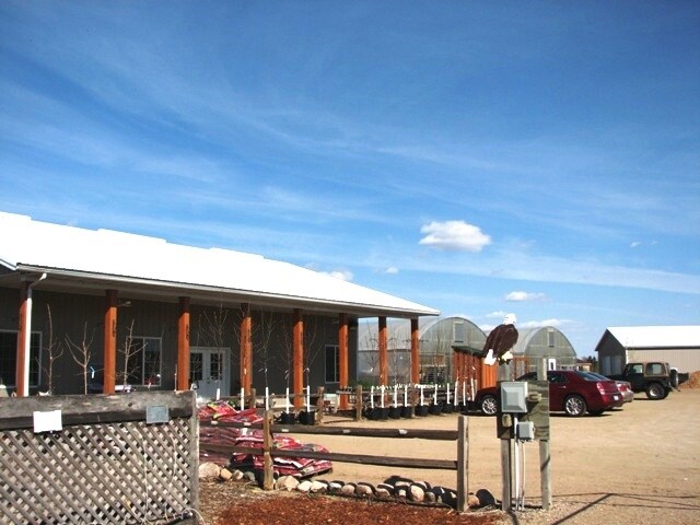 906 2nd St NE, Perham, MN for sale - Primary Photo - Image 1 of 1