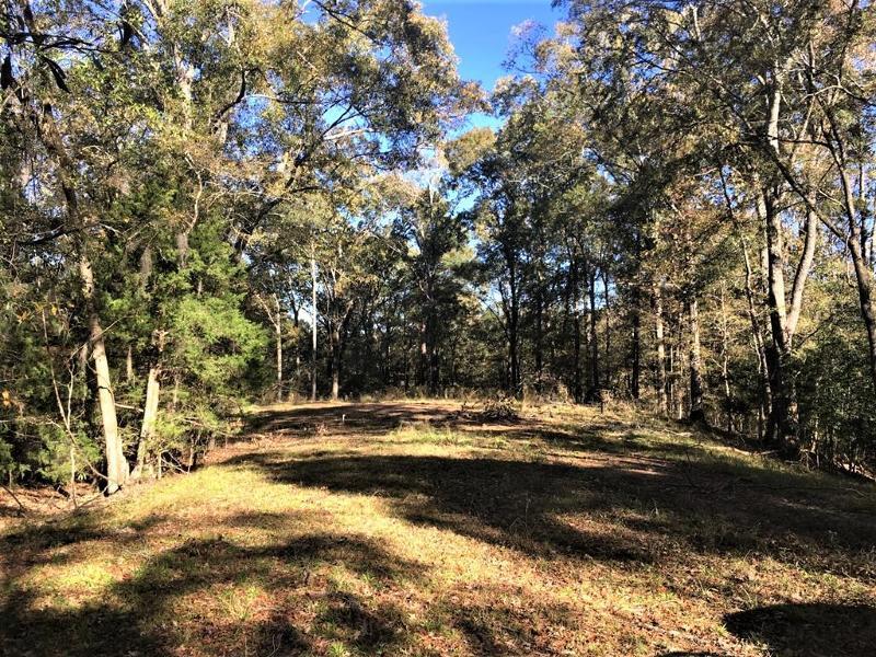 115 Dunbar Rd, Natchez, MS 39120