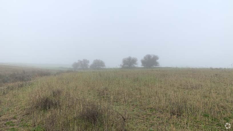 Polígono 12, Villaviciosa de Odón, Madrid for sale Primary Photo- Image 1 of 15