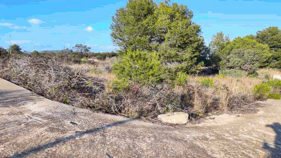 Land in Creixell, Tarragona for sale - Other - Image 3 of 5