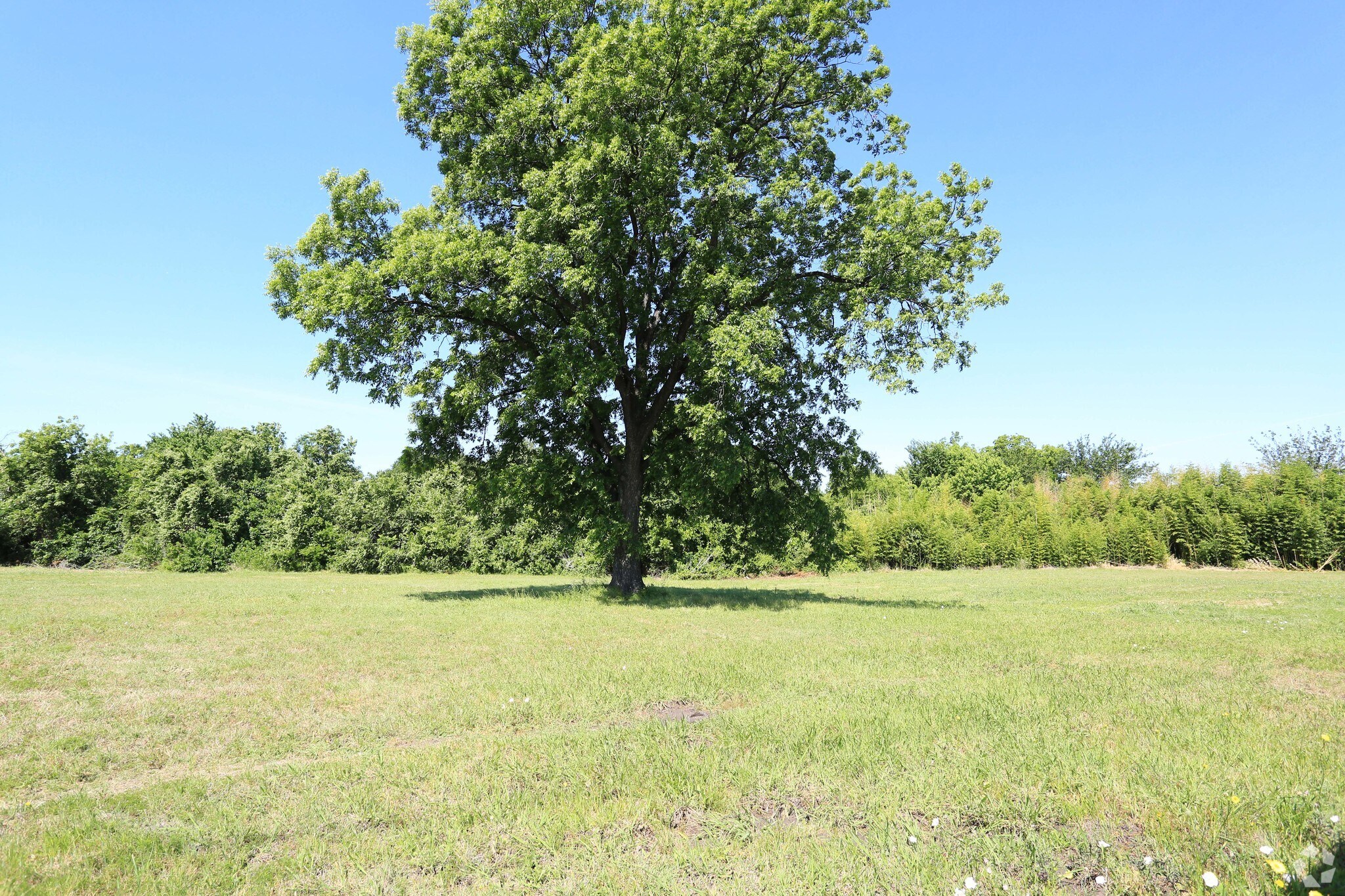 I-45, Ennis, TX for sale Primary Photo- Image 1 of 1