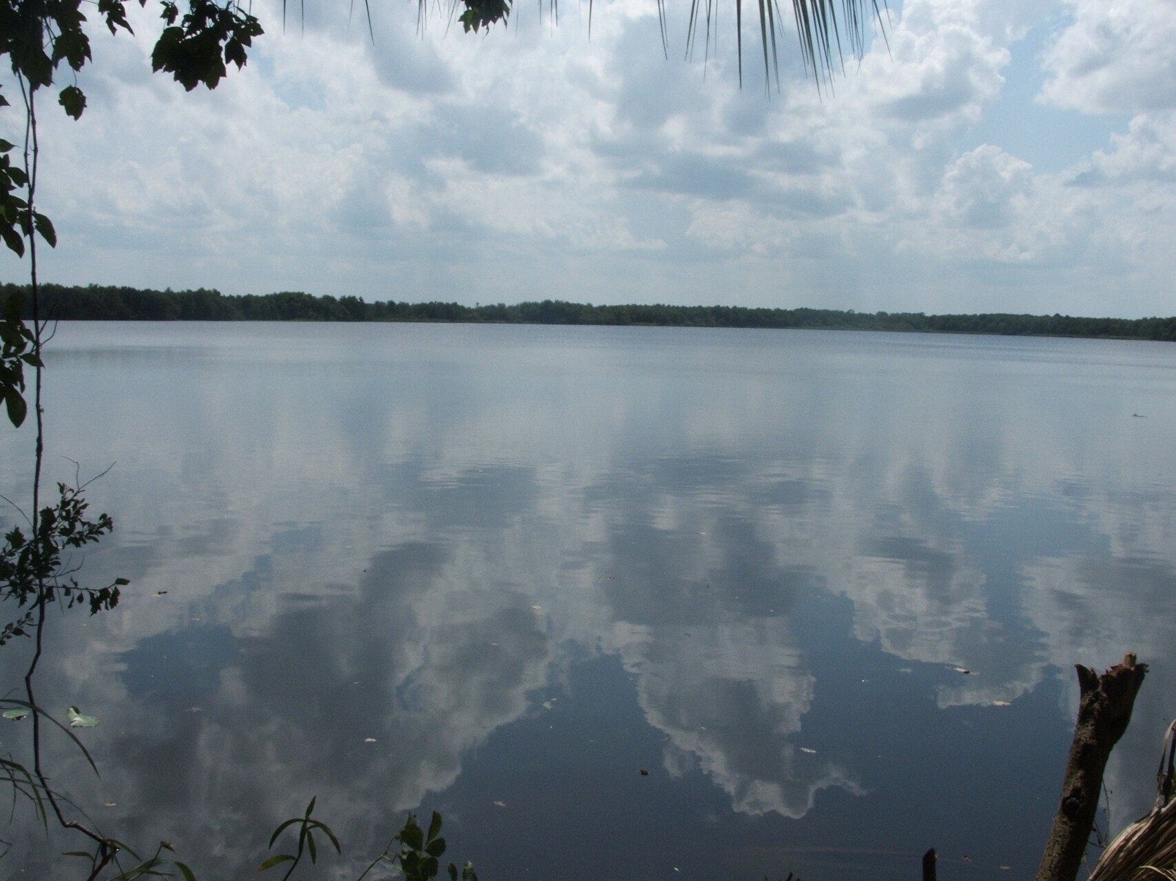 2355 Enterprise Osteen Rd, Deltona, FL for sale Primary Photo- Image 1 of 1