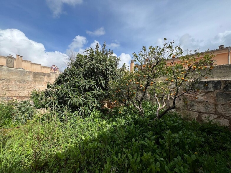 Land in Muro, Islas Baleares for sale - Building Photo - Image 3 of 9