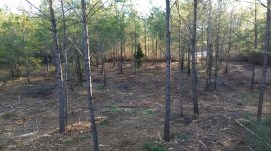 319 - 547 Sisters Ferry Road, Ridgeland, SC - AERIAL  map view - Image1