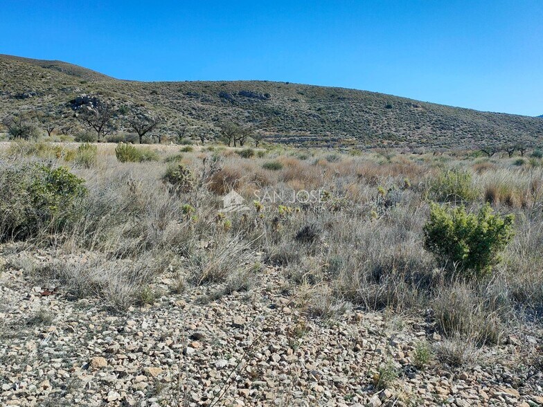 Land in Hondón de los Frailes for sale - Building Photo - Image 3 of 6