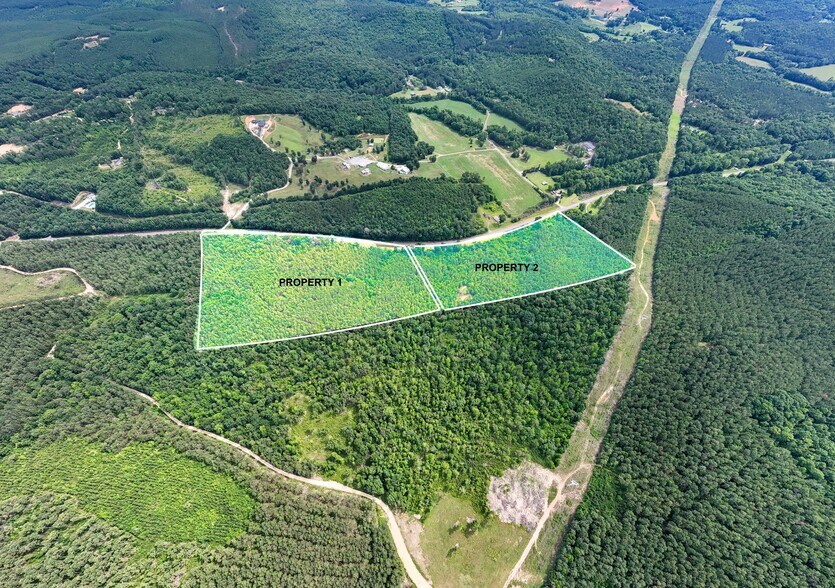 25 Acres Hwy, Piedmont, AL for sale - Primary Photo - Image 1 of 1