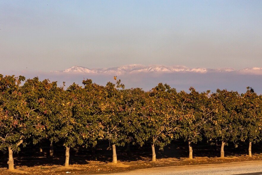 Avenue 56, Earlimart, CA for sale - Primary Photo - Image 1 of 10