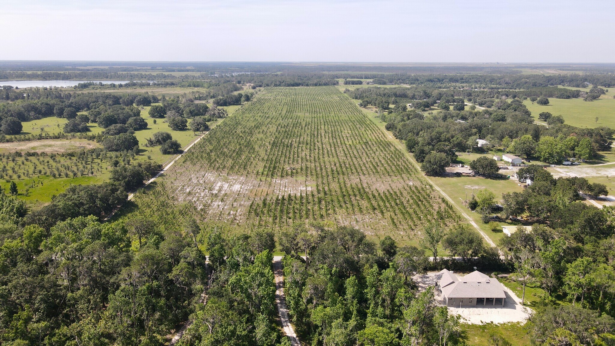 Albritton Rd., Lithia, FL 33547 60 ac Farm in Lithia