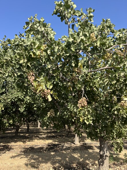 North of Sebastian Rd, Arvin, CA for sale - Interior Photo - Image 1 of 6