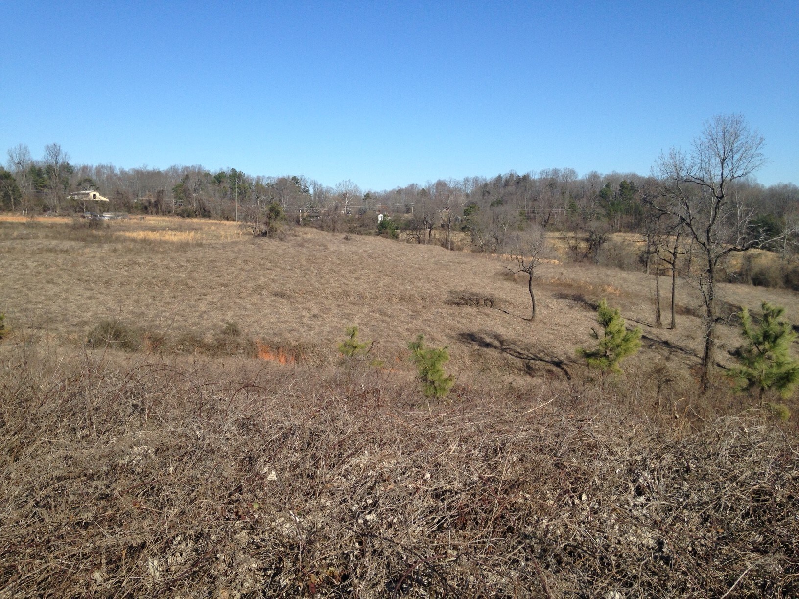 2725 Candler Rd, Gainesville, GA 30507