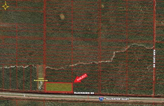 More details for 0 Blackburn Rd, Naples, FL - Land for Sale