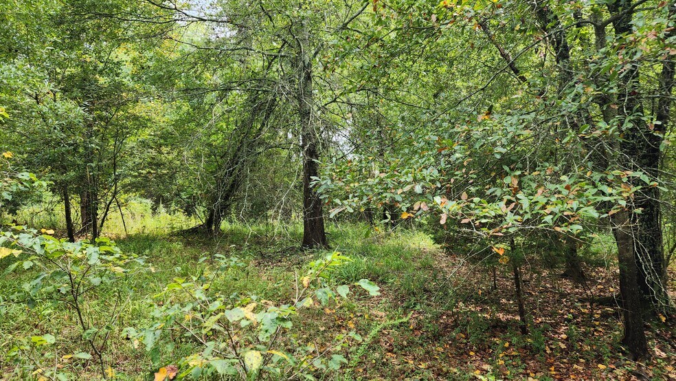 1661 Friendship Rd, Hoschton, GA for sale - Primary Photo - Image 2 of 47