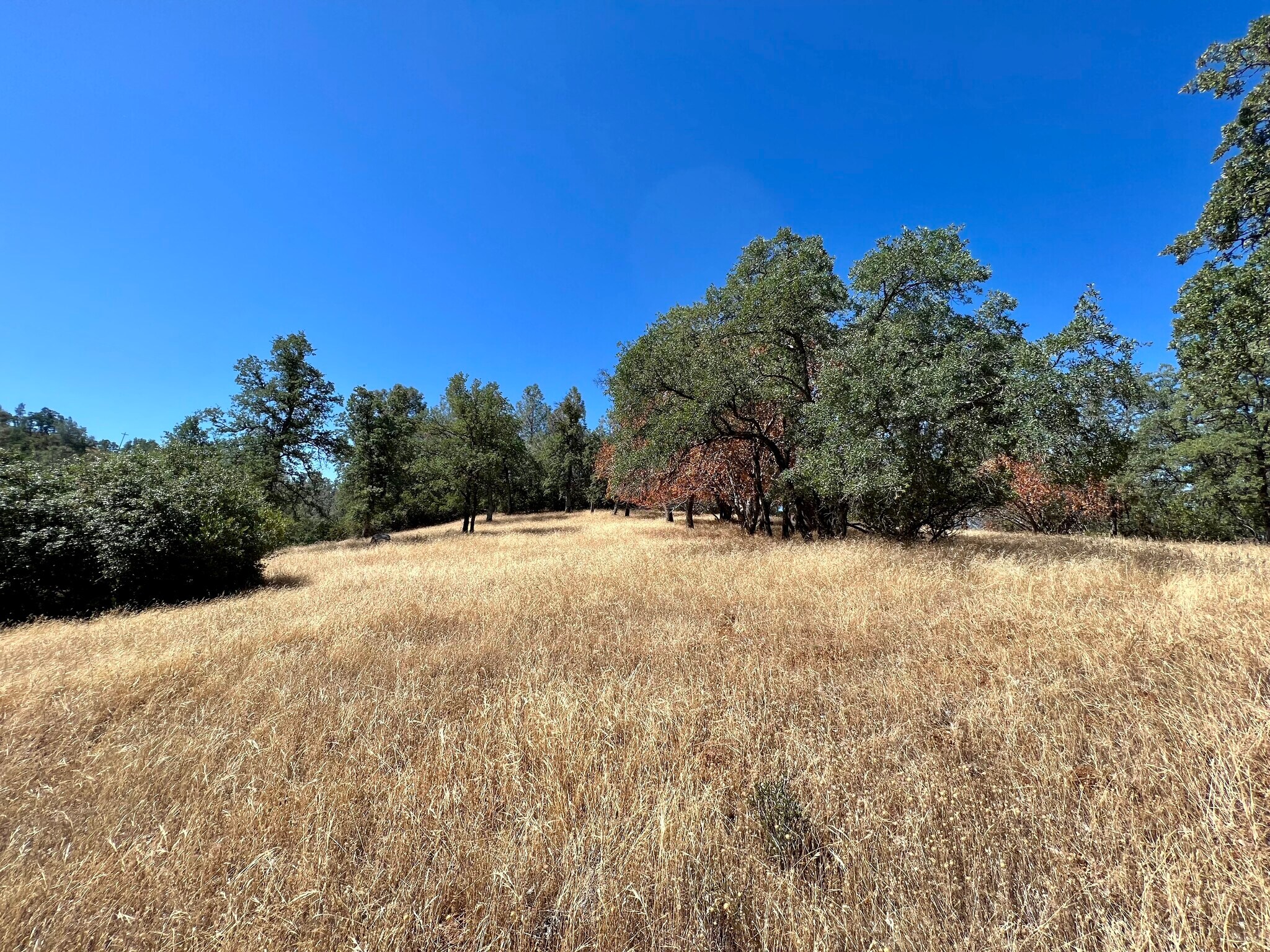 3090 Omo Ranch Rd, Somerset, CA for sale Primary Photo- Image 1 of 41