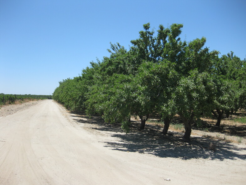 1719 W Rose Ave, Caruthers, CA for sale - Primary Photo - Image 1 of 4