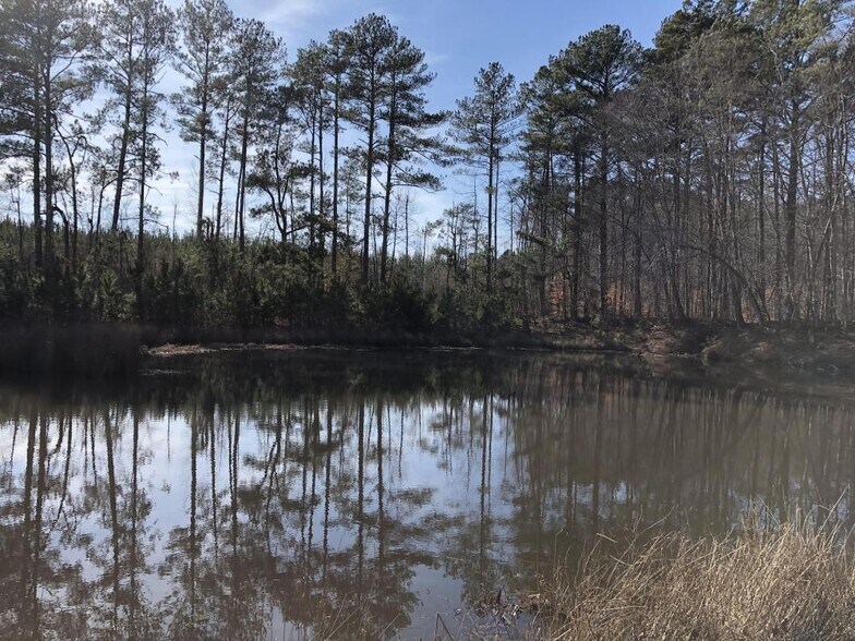 0 Ga Hwy, Temple, GA for sale - Primary Photo - Image 1 of 1