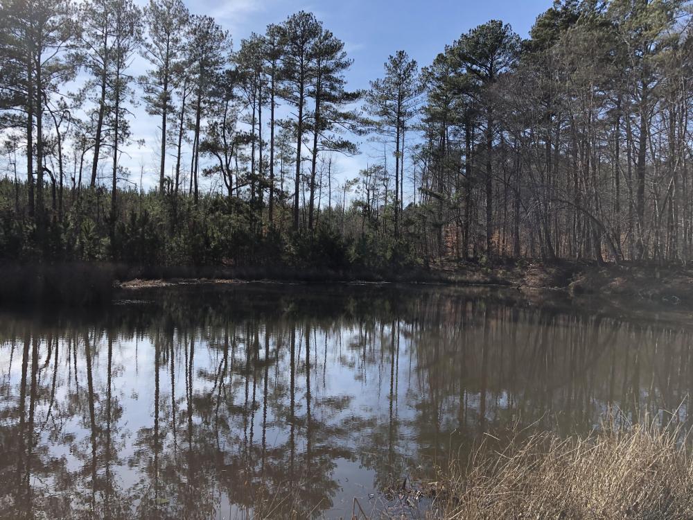 0 Ga Hwy, Temple, GA for sale Primary Photo- Image 1 of 1