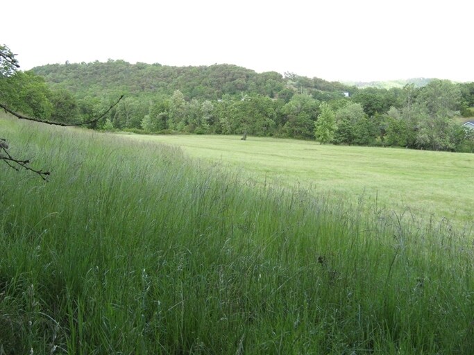 NE Johnson St, Roseburg, OR for sale - Primary Photo - Image 1 of 1