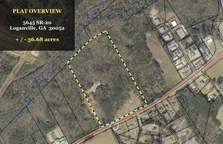 5645 GA Highway 20, Loganville GA - Land