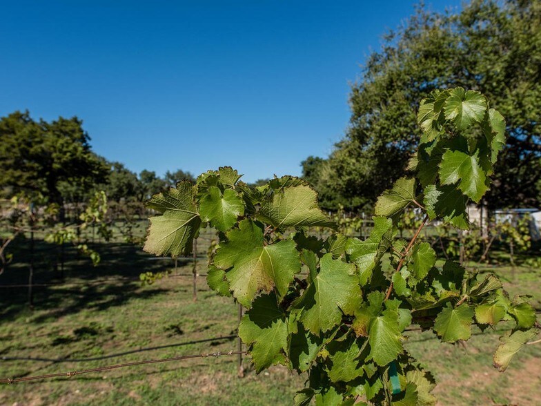 706 Shovel Mountain Rd, Round Mountain, TX 78663