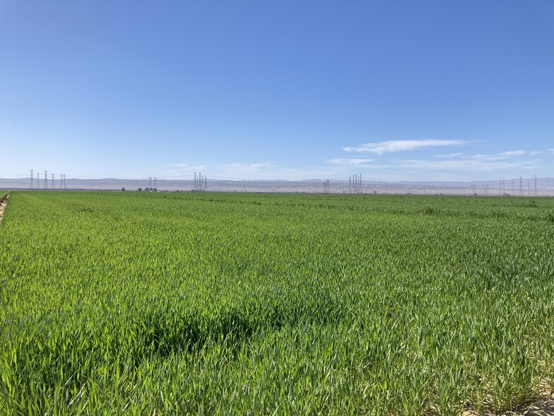 Interstate 5, Buttonwillow, CA for sale - Other - Image 1 of 1