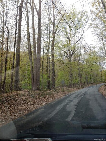 Lot 23 Mountain Top Road, Spring Glen, NY for sale - Primary Photo - Image 1 of 1