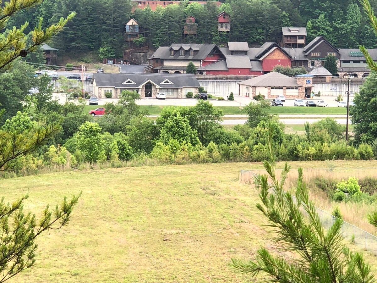 View Photo