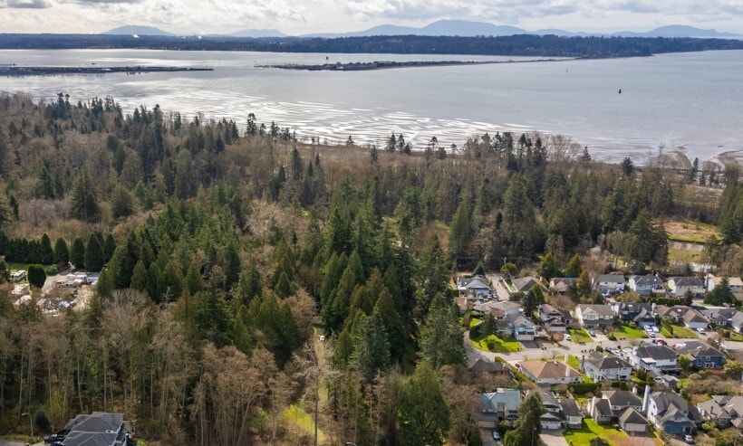 16203 8 Av, Surrey, BC for sale - Aerial - Image 3 of 3