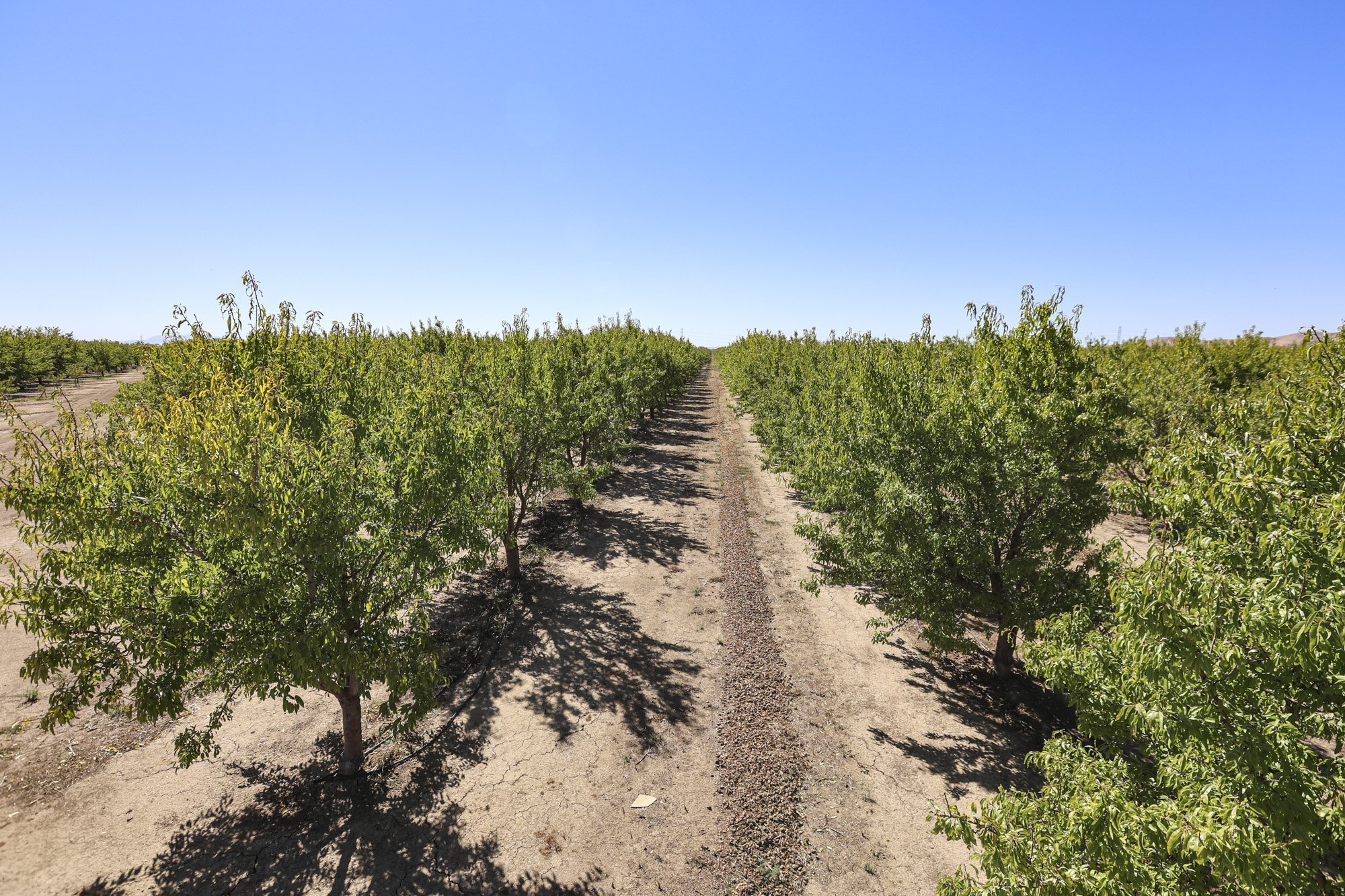 Meridian -1, Vacaville, CA for sale Primary Photo- Image 1 of 1