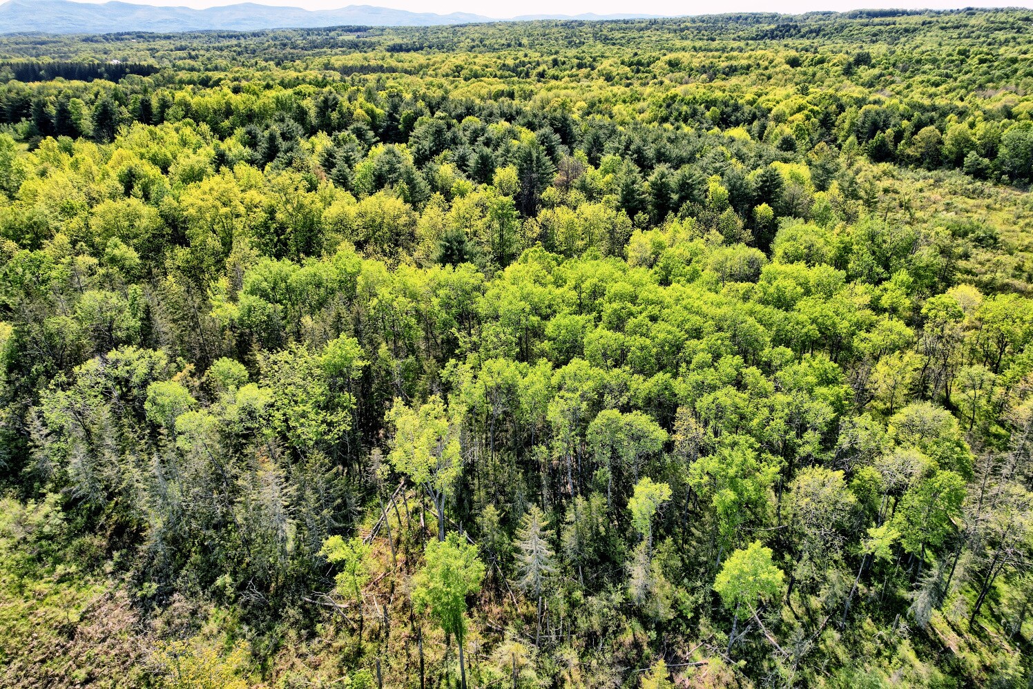 11649 NY32, Greenville, NY 12083 Prime Land on State Route 32