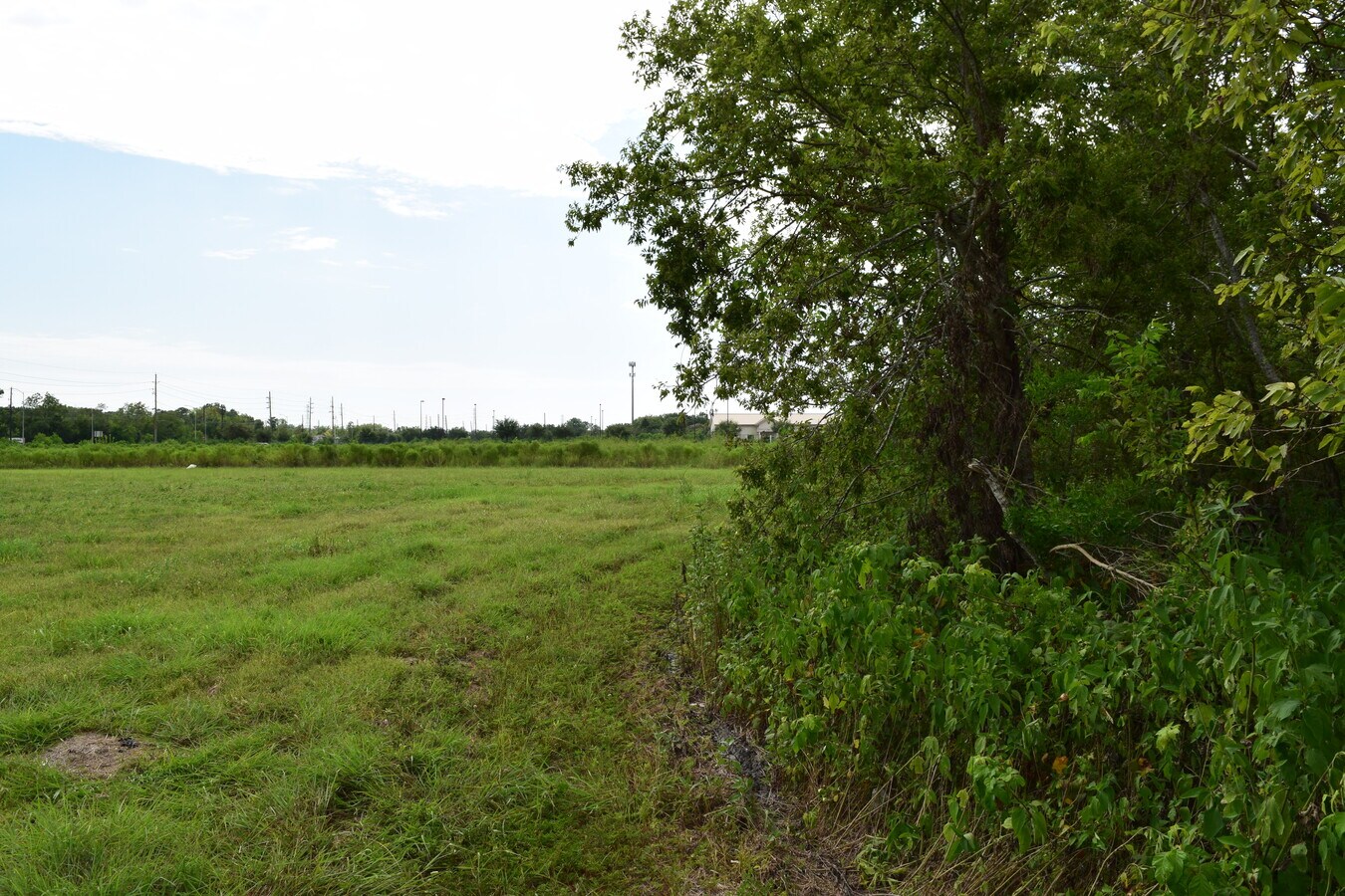 View Photo