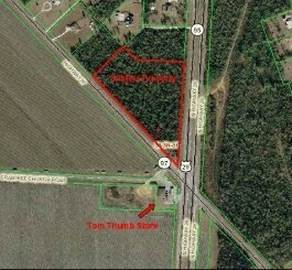 Highway 29, Molino, FL for sale - Primary Photo - Image 1 of 1