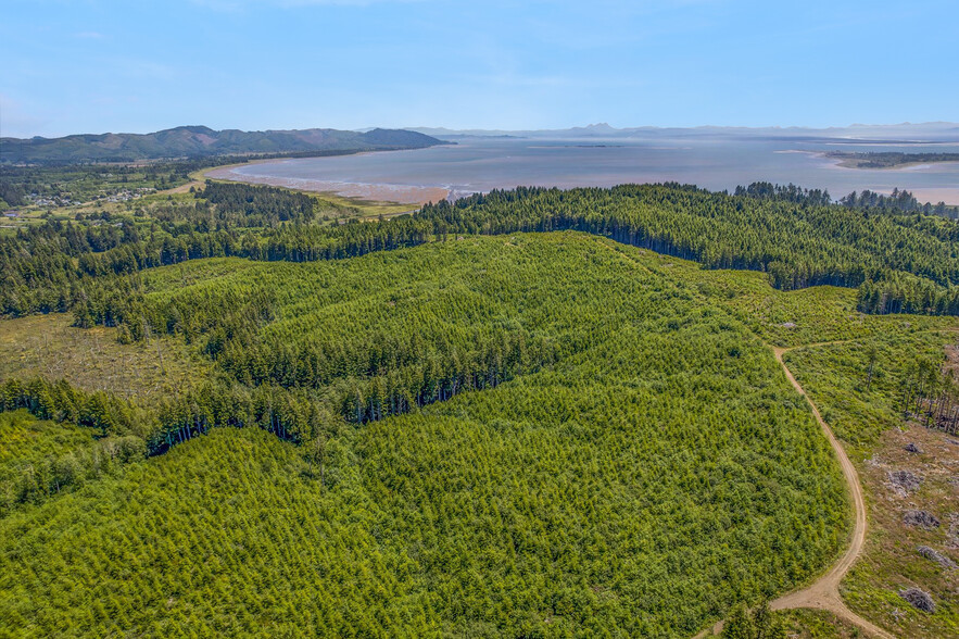 1000 Williams St, Ilwaco, WA for sale - Aerial - Image 2 of 9