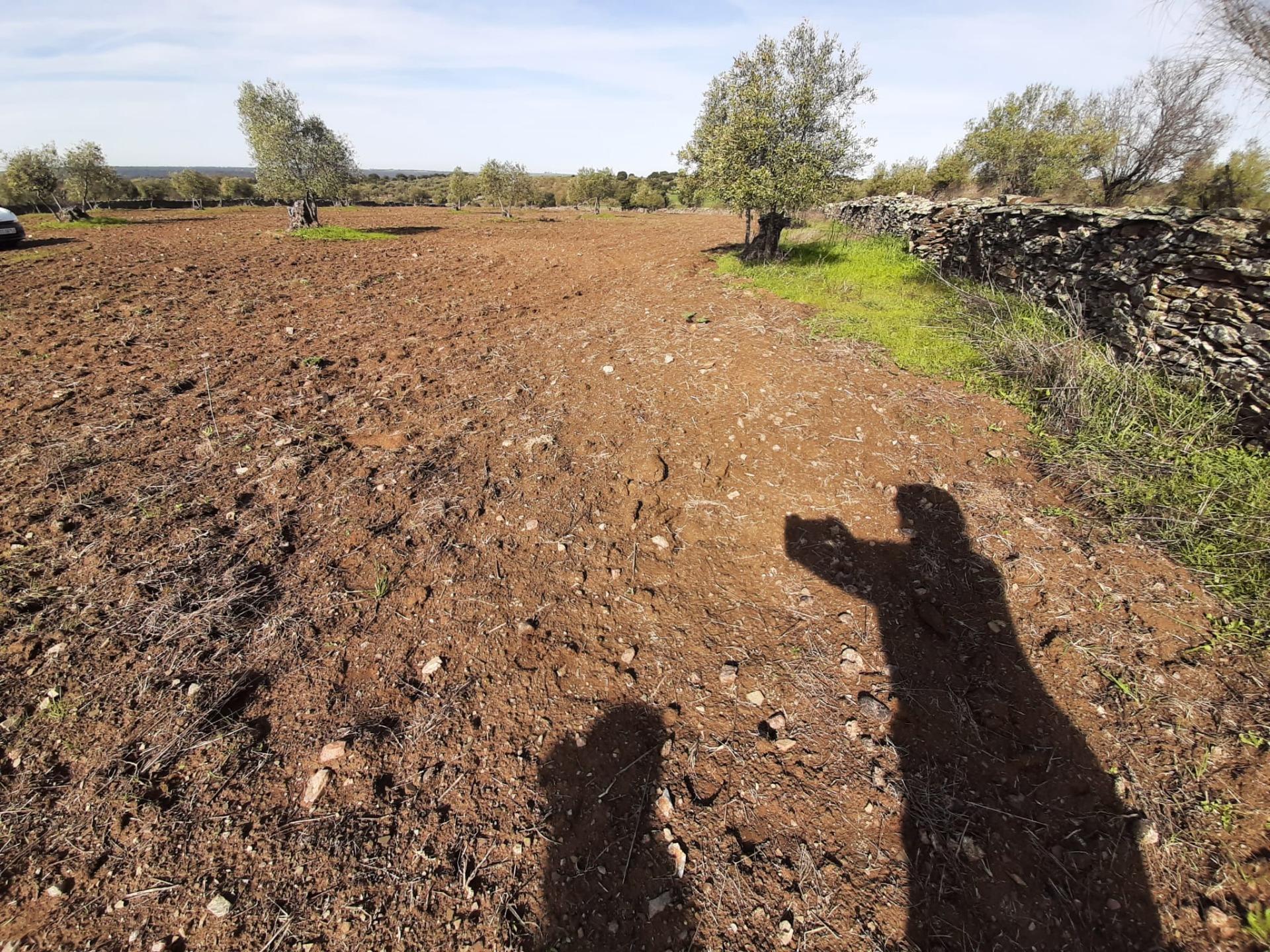 Land in Cáceres for sale Building Photo- Image 1 of 3