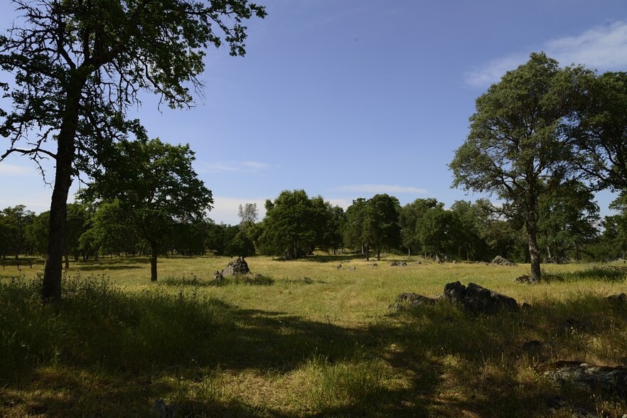 147 acres Landrum St., Plymouth, CA for sale - Building Photo - Image 2 of 18