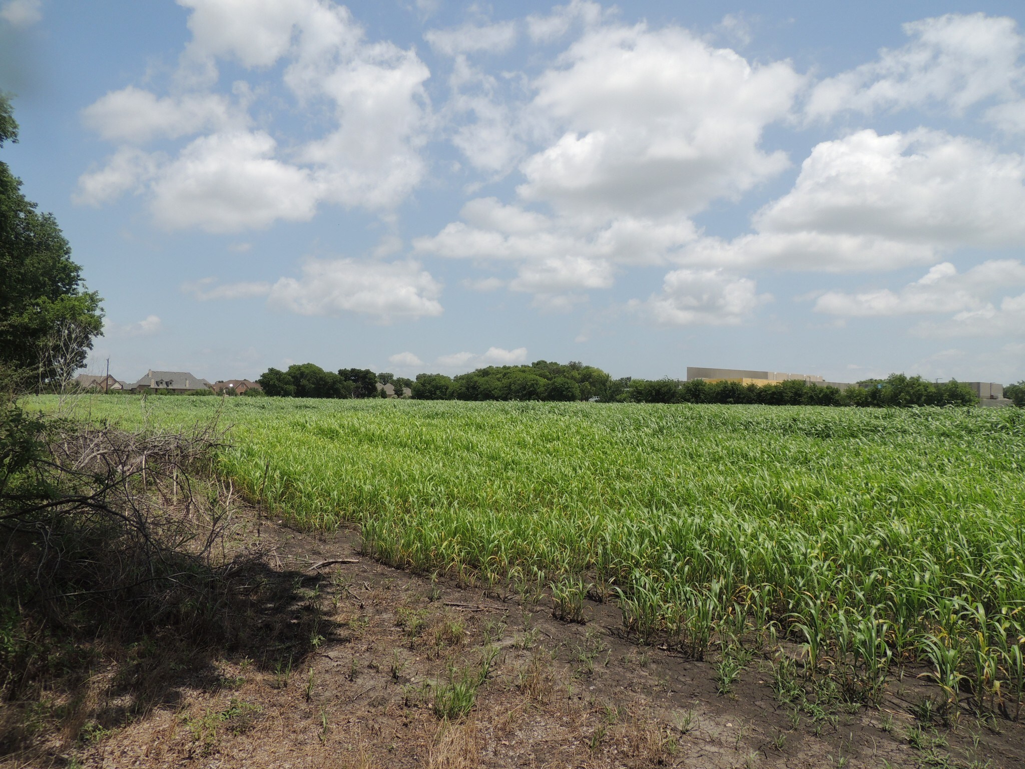 TBD West Lucas Road, Lucas, TX for sale Building Photo- Image 1 of 1