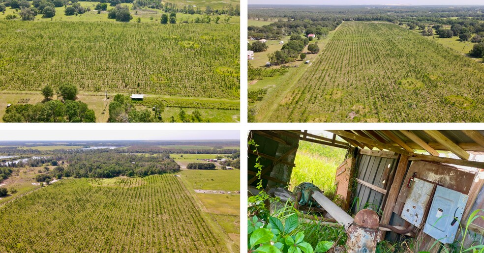 Albritton Rd., Lithia, FL 33547 60 ac Farm in Lithia