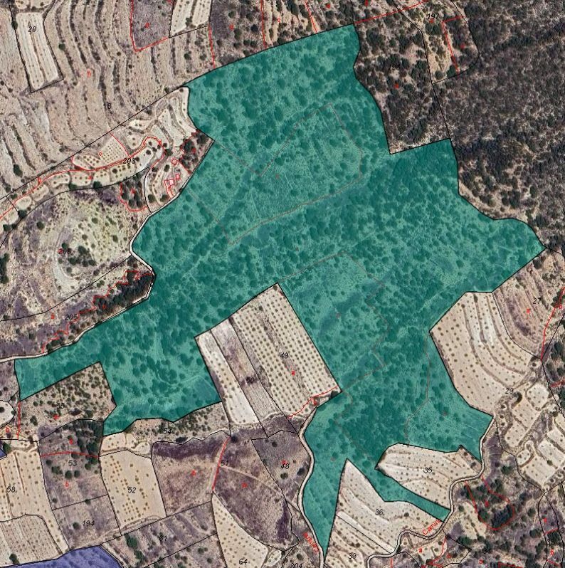 Land in MONÒVER for sale Building Photo- Image 1 of 3