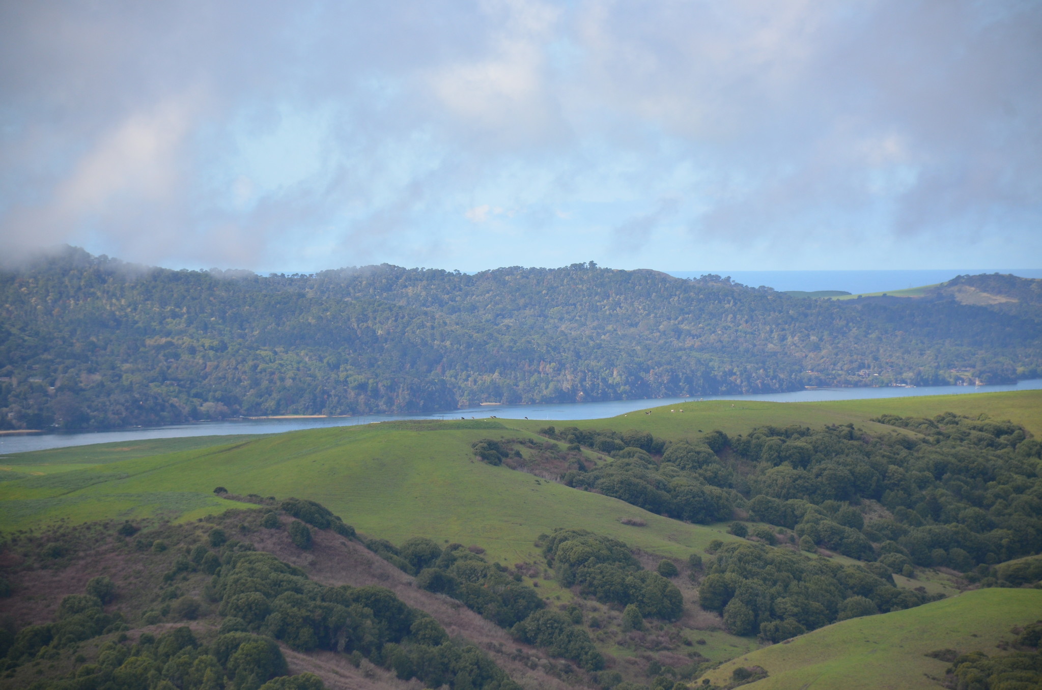 200 Tomasini Canyon Rd, Point Reyes Station, CA for sale Other- Image 1 of 1