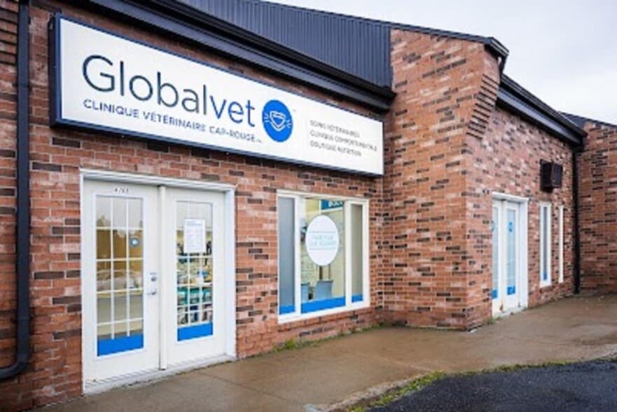 8 Vet Clinics portfolio of 8 properties for sale on LoopNet.com - Primary Photo - Image 2 of 5