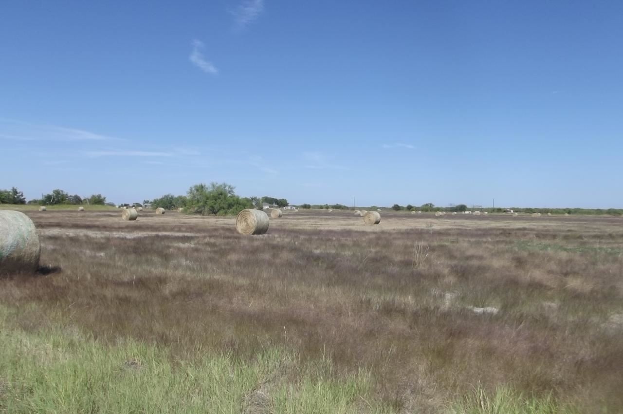 5479 E Hwy 175, Kaufman, TX for sale Building Photo- Image 1 of 1