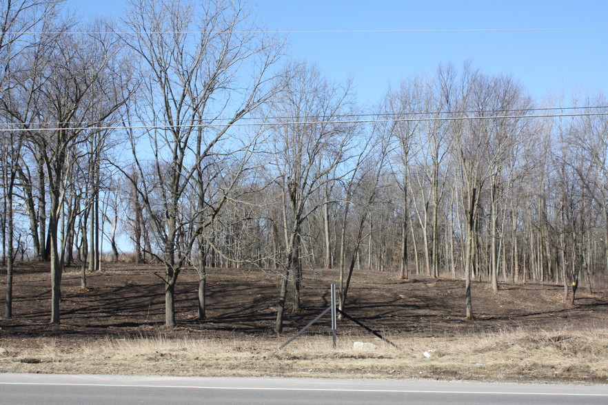 S Lapeer Rd, Metamora, MI for sale - Primary Photo - Image 1 of 1