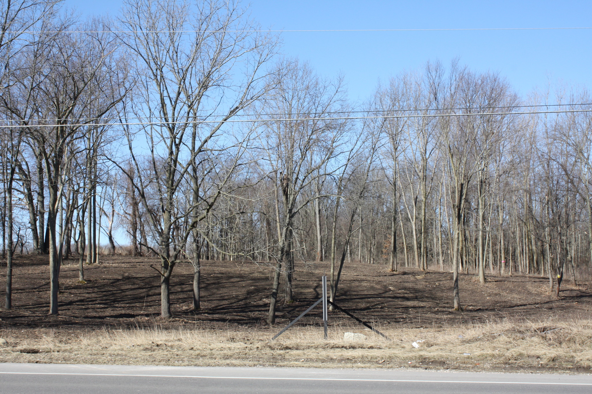 S Lapeer Rd, Metamora, MI for sale Primary Photo- Image 1 of 1