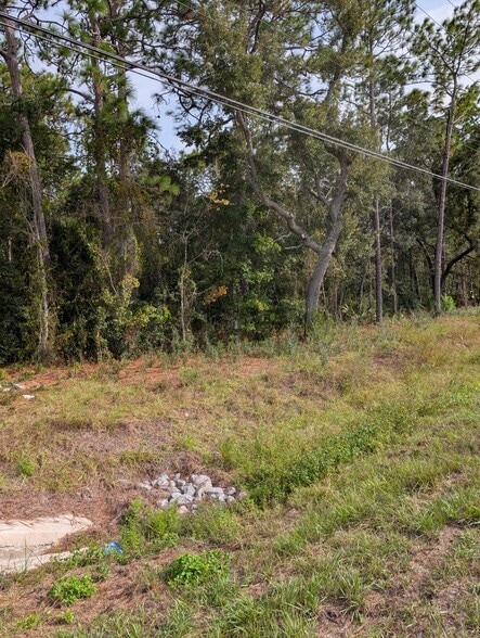 9115 S Suncoast Blvd, Homosassa, FL for sale - Building Photo - Image 3 of 4