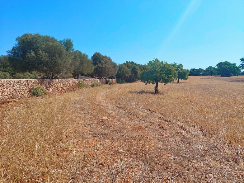 Land in Santanyí, Islas Baleares for sale - Building Photo - Image 2 of 5