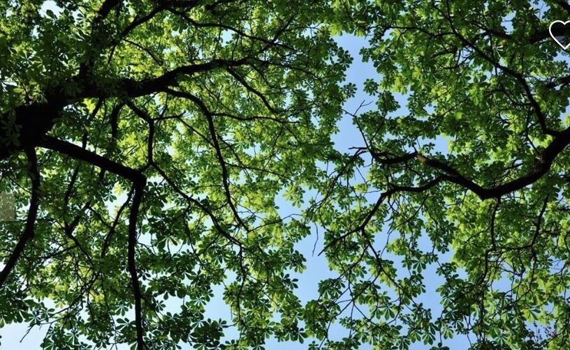 93 Dockerel Rd, Tolland, CT 06084