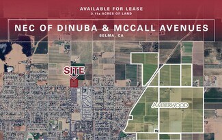 More details for Dinuba Avenue, Selma, CA - Land for Lease