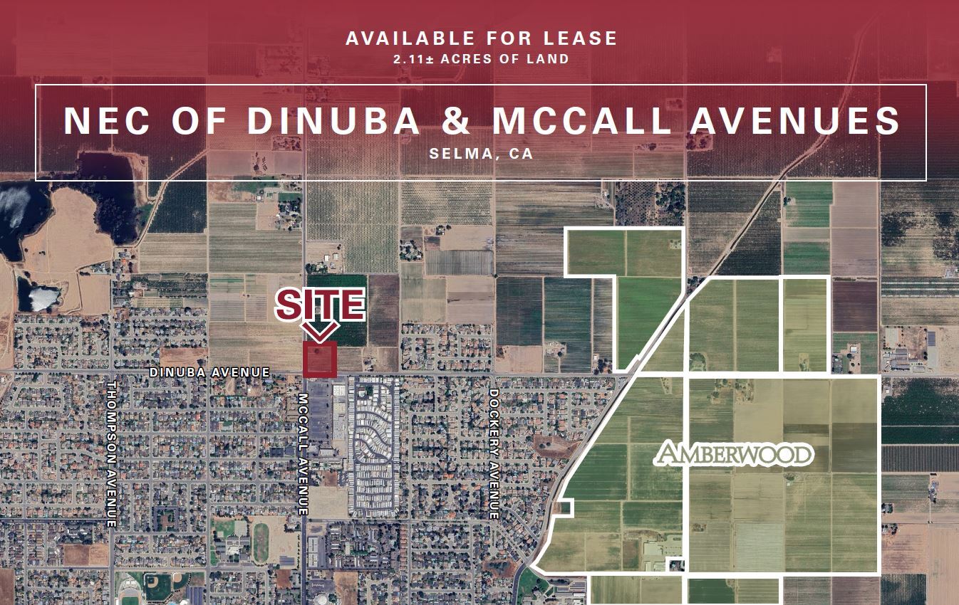 Dinuba Avenue, Selma, CA for lease Primary Photo- Image 1 of 3