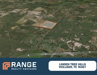 More details for FM 368, Holliday, TX - Land for Sale