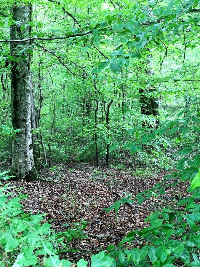 0 Ethridge Rd, Jefferson, GA 30549